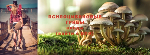 марки lsd Богданович